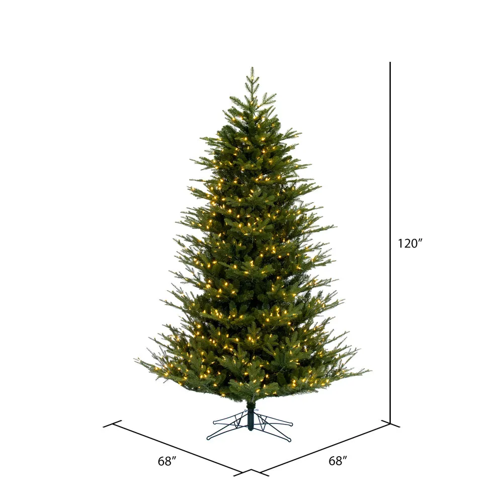 10' x 68" North Shore Fraser Fir Artificial Christmas Tree LED Warm White Lights