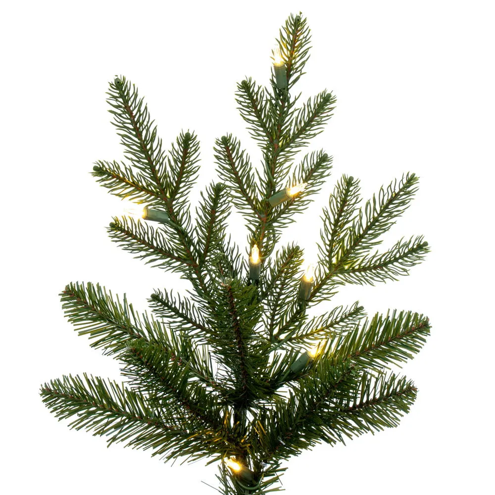 10' x 68" North Shore Fraser Fir Artificial Christmas Tree LED Warm White Lights