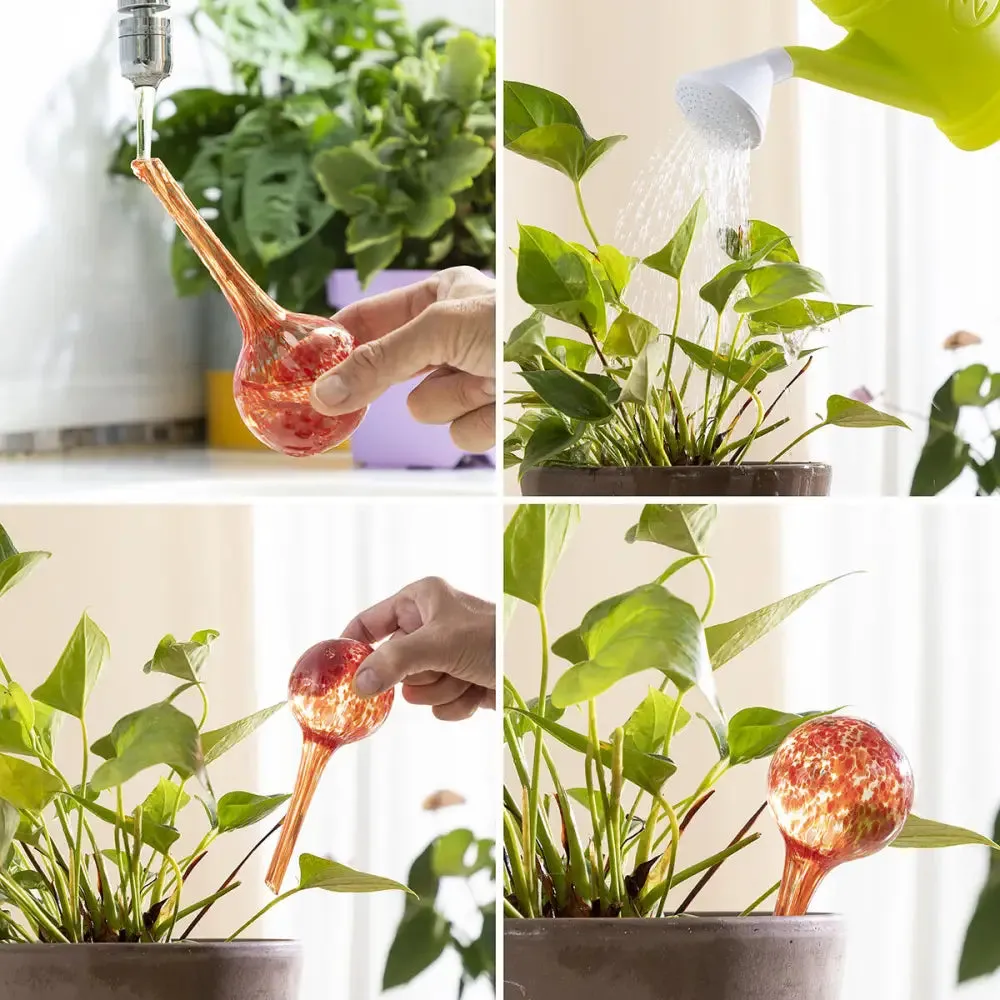 Automatic Watering Globes Ballwooters Innovagoods 4 Units