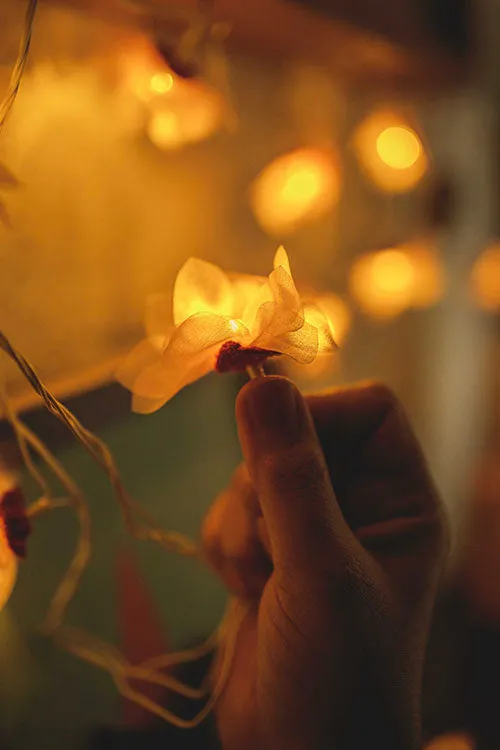 Handmade LED String Lights Orange Petals with Hearts