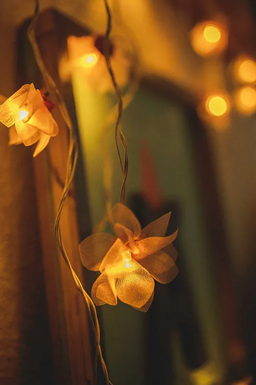 Handmade LED String Lights Orange Petals with Hearts