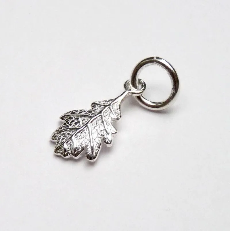 Silver Oak Leaf by Joy Everley